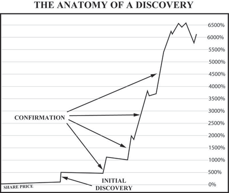 Anatomy of a Gold Discovery